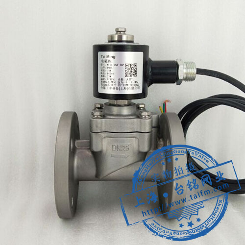 不銹鋼防爆燃氣電磁閥